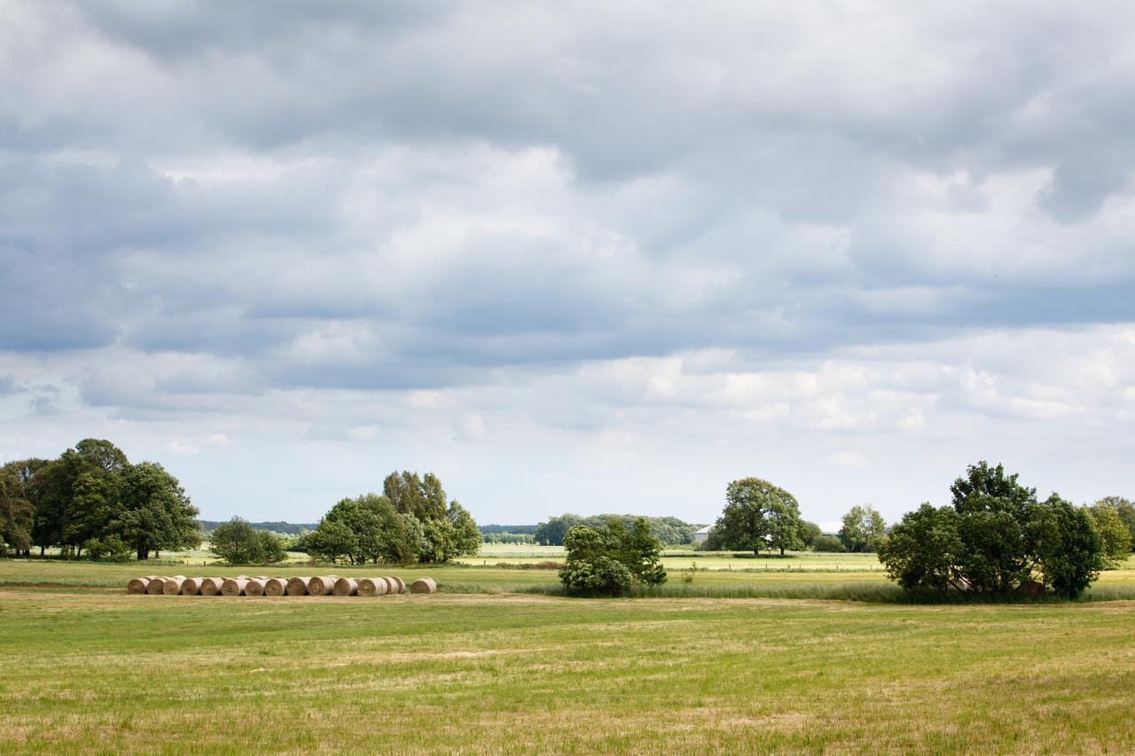 Landhotel Zum Pottkuchen Kalbe  Buitenkant foto
