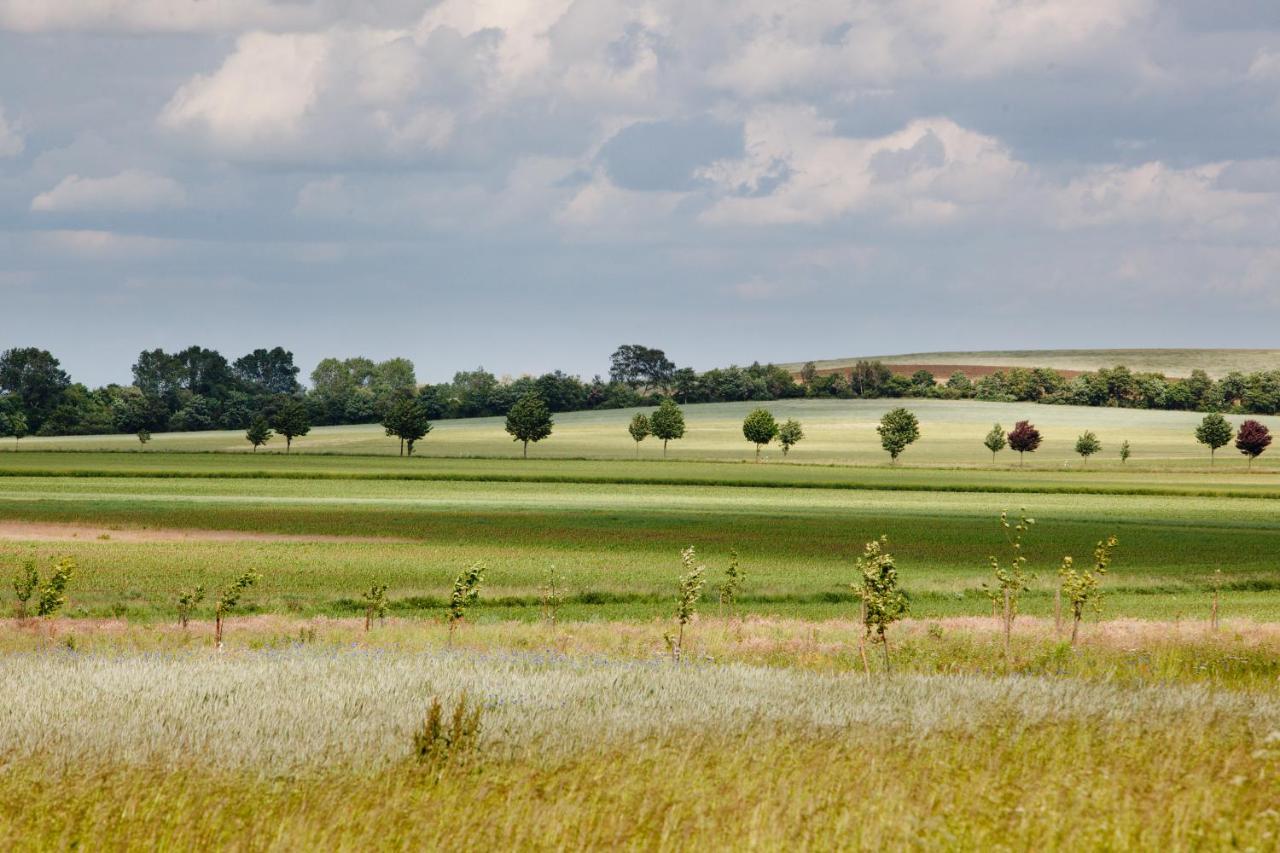 Landhotel Zum Pottkuchen Kalbe  Buitenkant foto